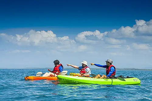 Kayak pointing tourists whale watching in the distance Manuel Antonio Costa Rica
