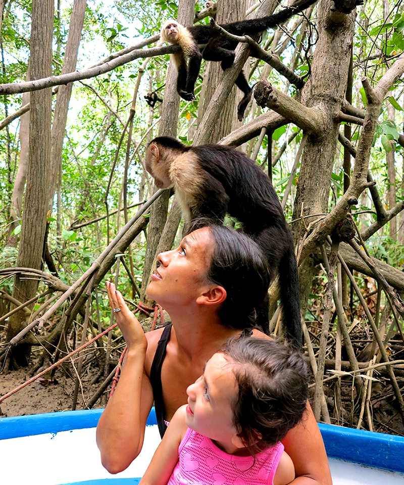 tour with monkeys in costa rica