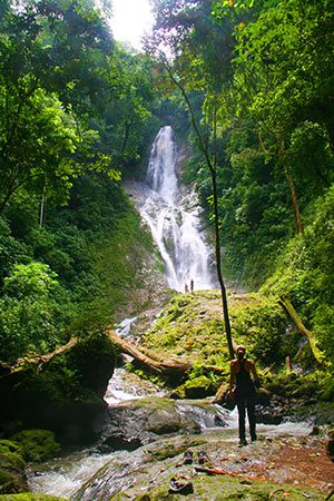 rainforest near Jaco Beach during the green season