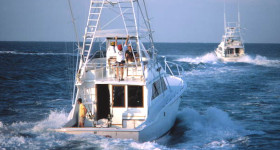 Time for a Fishing Tournament!