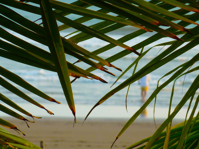 Green Room Menu Jaco Costa Rica Green Room Menu Jaco Costa Rica