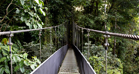 Three Hidden Treasures Near Jacó, Costa Rica