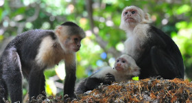 14 Things We Love About Costa Rica