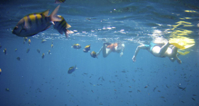 Discover the Incredible Islands of Costa Rica