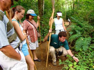 Guided tour through nature in Costa Rica