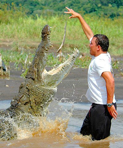 man with a crocodile on a tour in Costa Rica